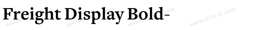 Freight Display Bold字体转换